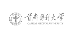 一網天行-網站建設系統開發|小程序開發|APP開發